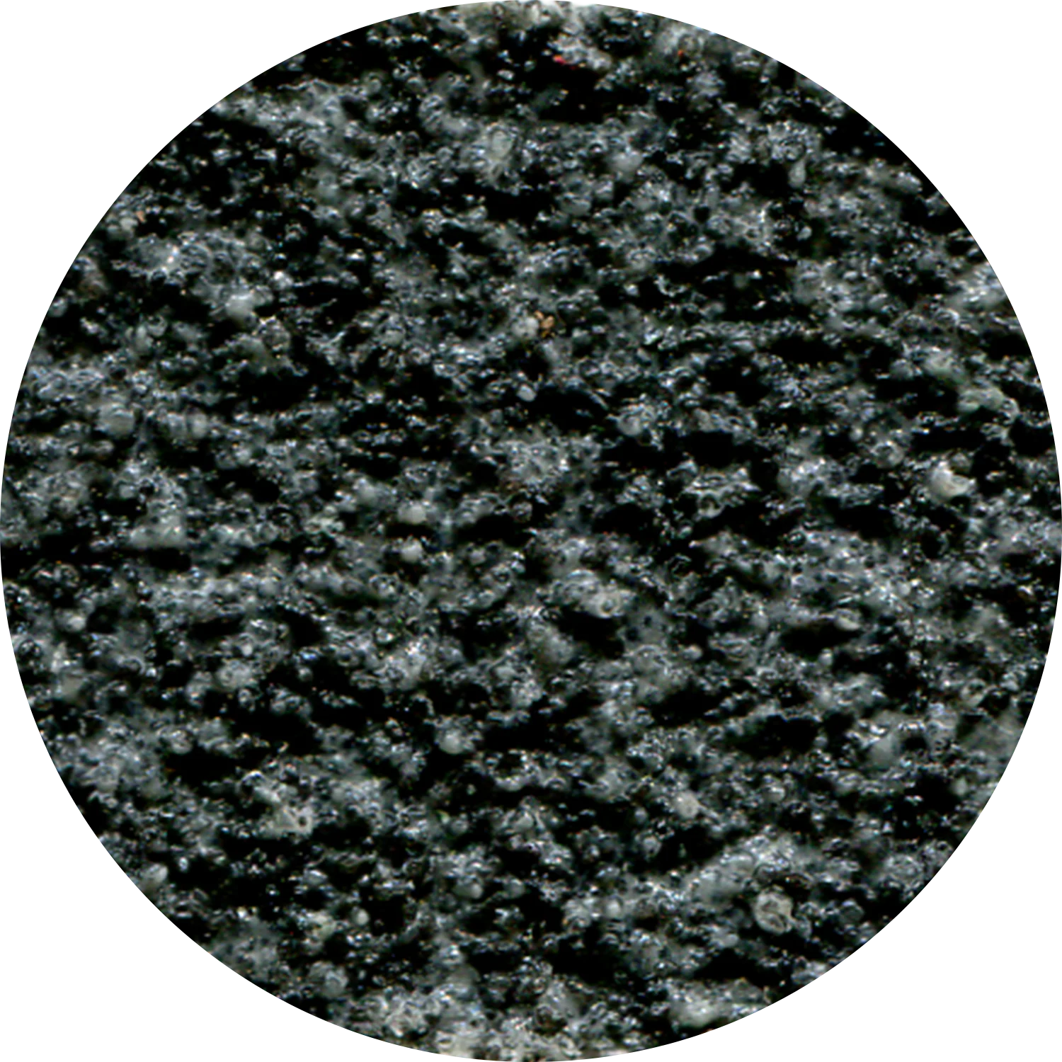 BLACK20